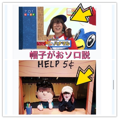 花江夏樹と京本有加の犬の帽子写真